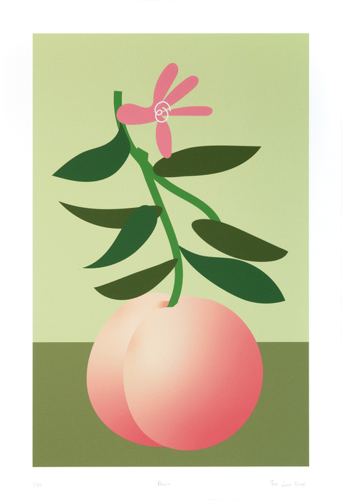 Colorful contemporary pop art print with green background and minimalist peach design with pink flower and green leaves