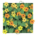 black eyed susan tangled flowers design