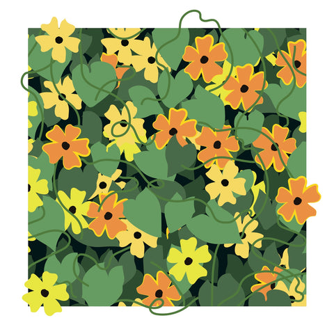 black eyed susan tangled flowers design