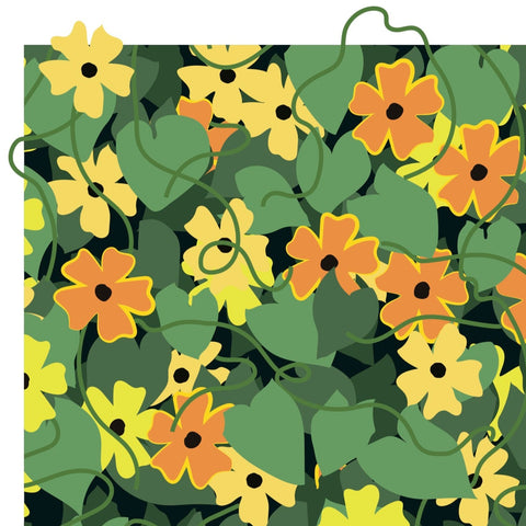 close up of black eyed susan graphic flowers design