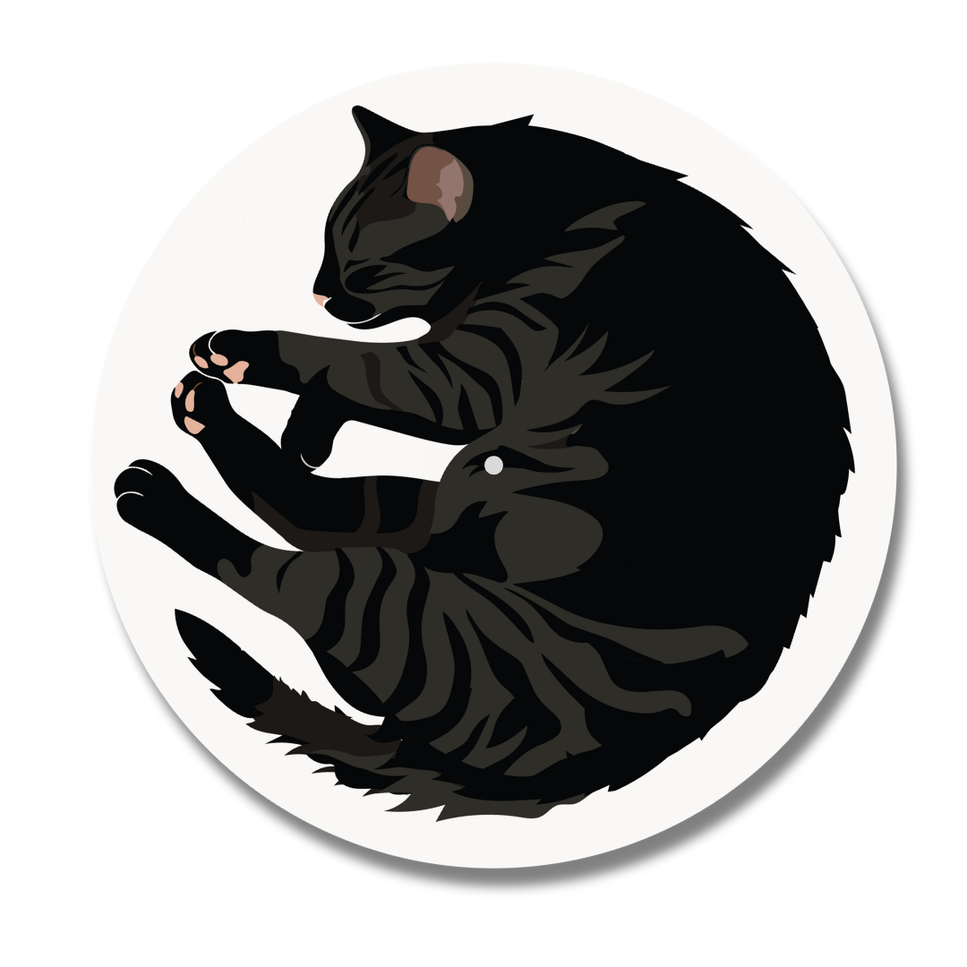 Black "Cat Nap" Vinyl Record Slipmat Turntable Accessory