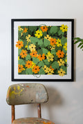 24"x24" graphic black eyed susan flowers graphic print shown in black frame