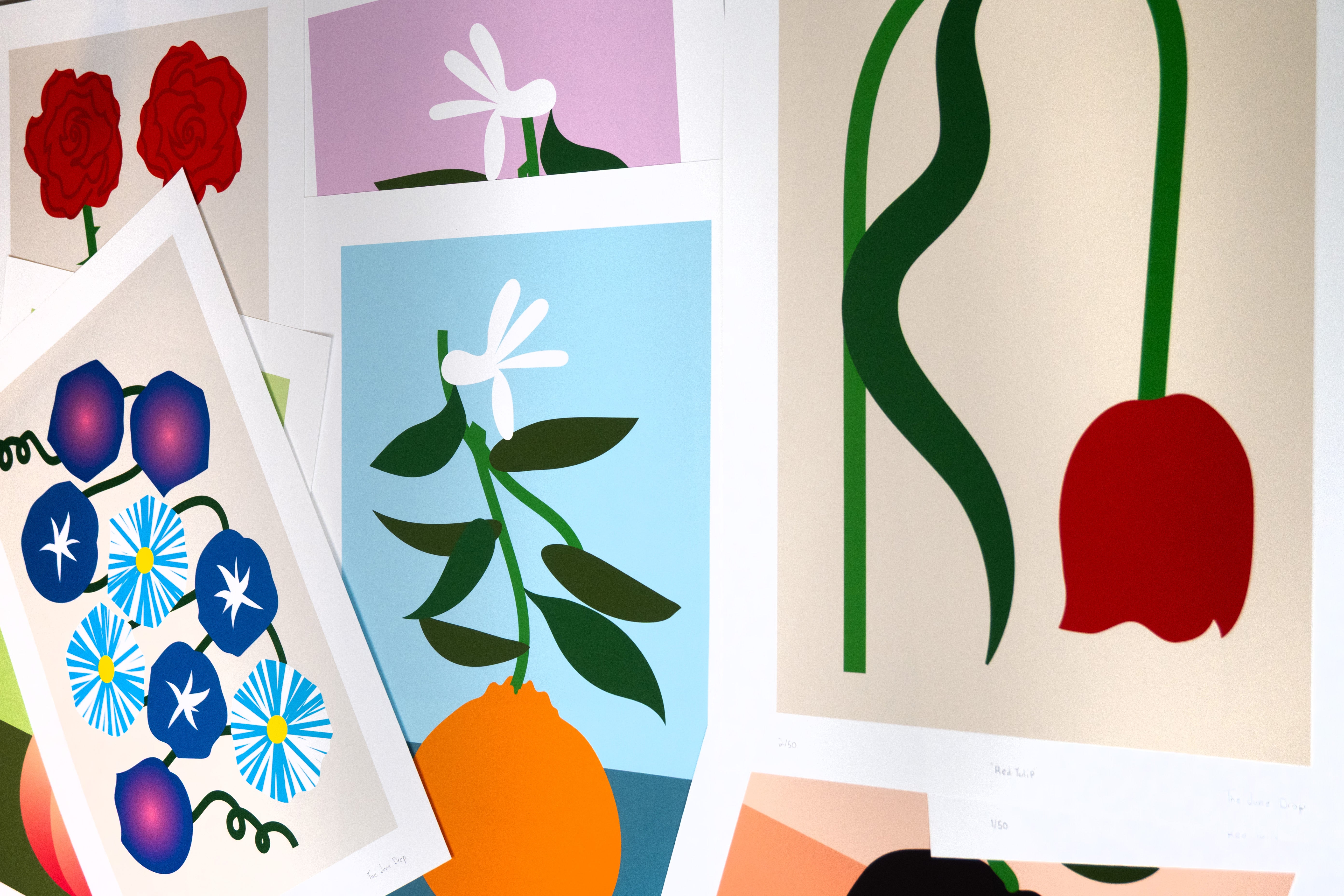 Collection of colorful floral and abstract art prints on a white background
