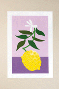 Minimalist pop art print with single citron fruit and flower and purple background, yellow, green, and white.