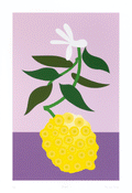 Minimalist pop art print with single citron fruit and flower and purple background, yellow, green, and white.