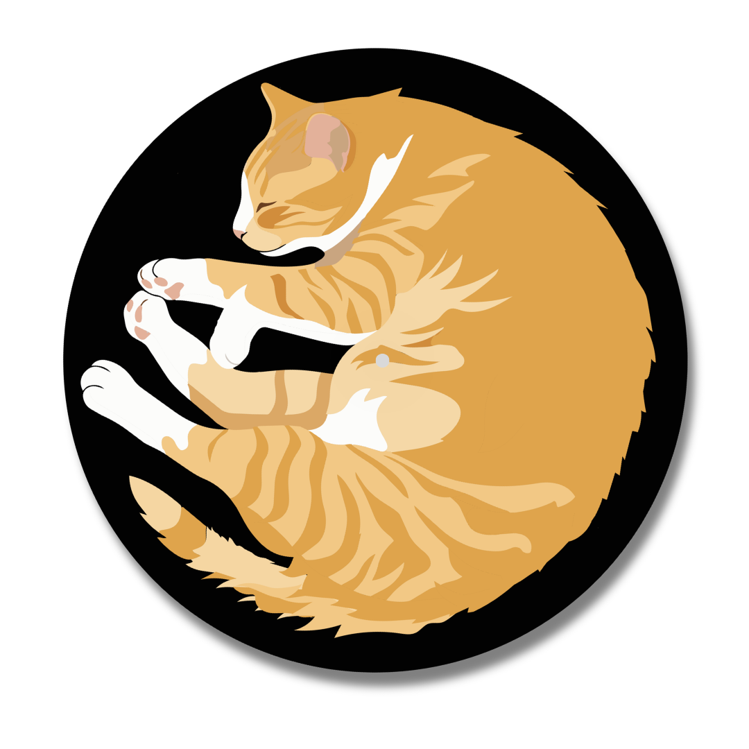 Orange "Cat Nap" Vinyl Record Slipmat Turntable Accessory