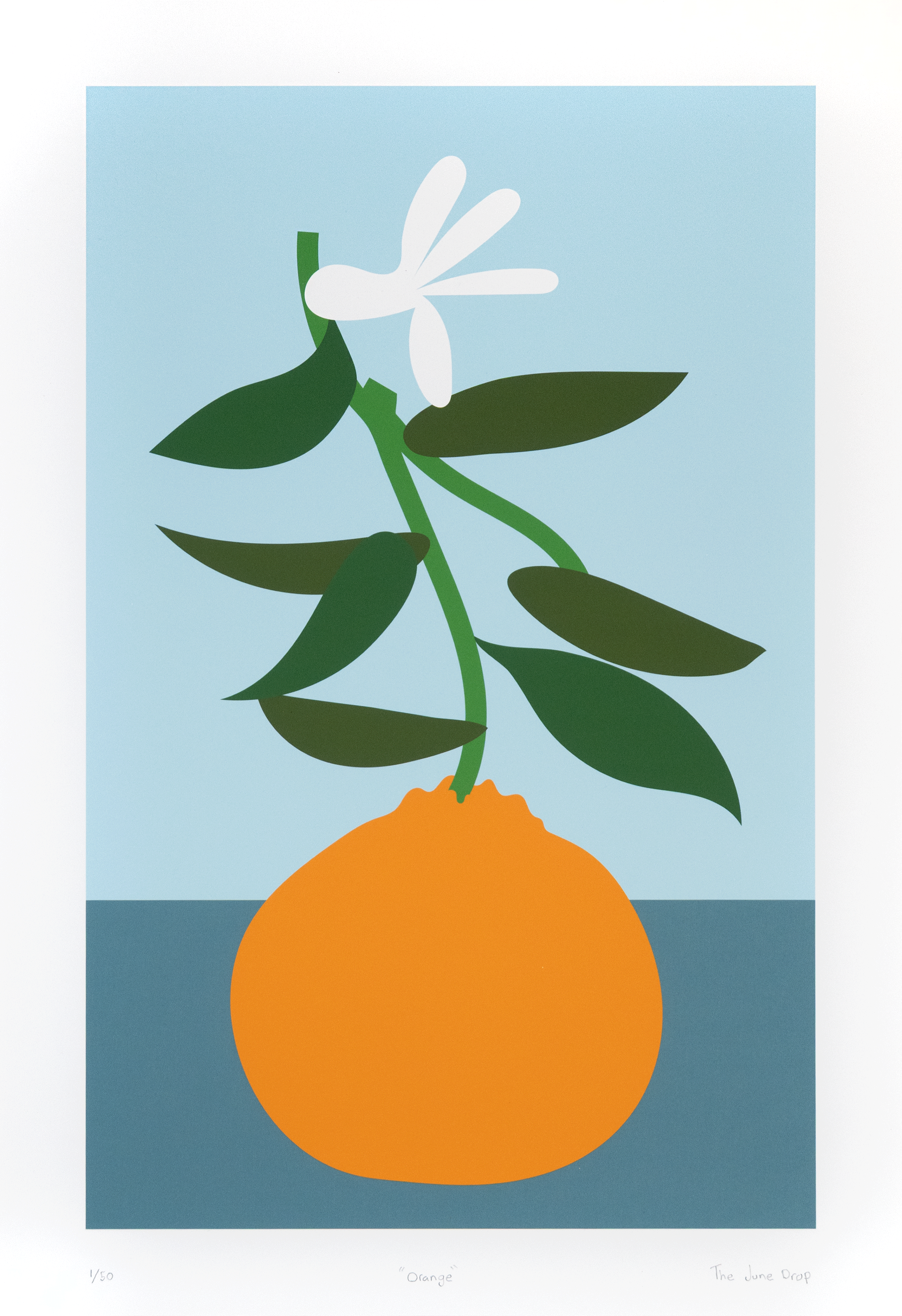 Pop art style minimalist orange print with blue background and white flower