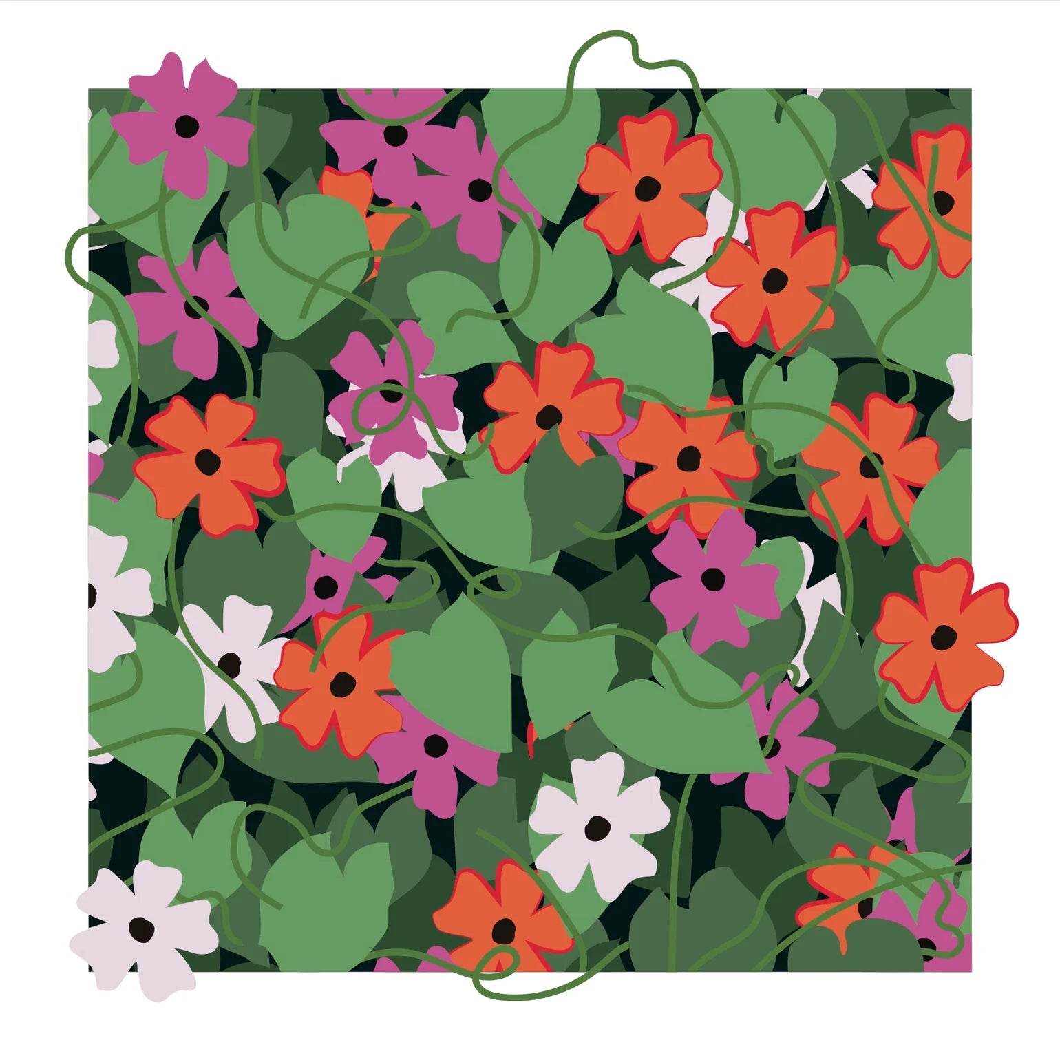 Red and Pink "Black-eyed Susan Vine" Print-4