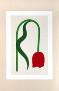 Minimalist wilted tulip contemporary print design with red, green, and beige colors