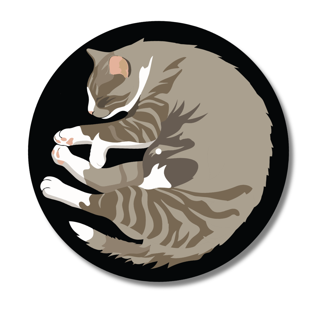 Tabby "Cat Nap" Vinyl Record Slipmat Turntable Accessory