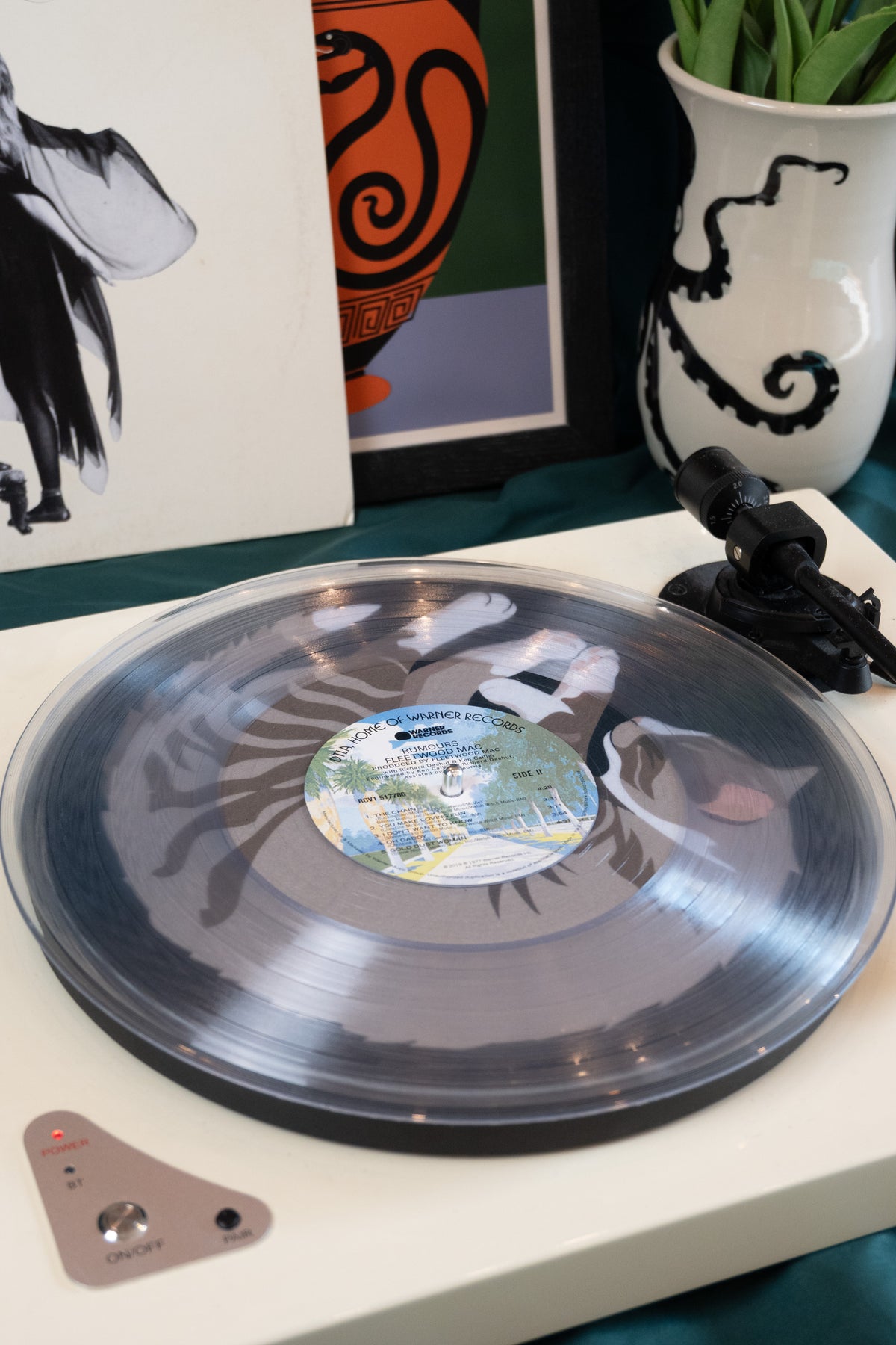 Tabby "Cat Nap" Vinyl Record Slipmat Turntable Accessory-4