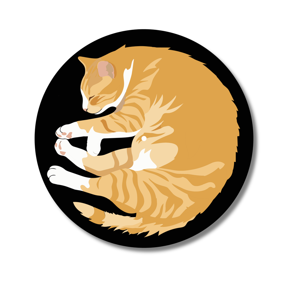 Turntable slipmat with sleeping orange cat design on white background