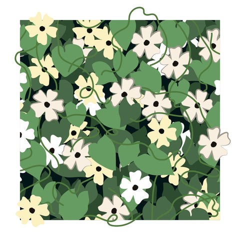 White Black-eyed Susan Vine Print